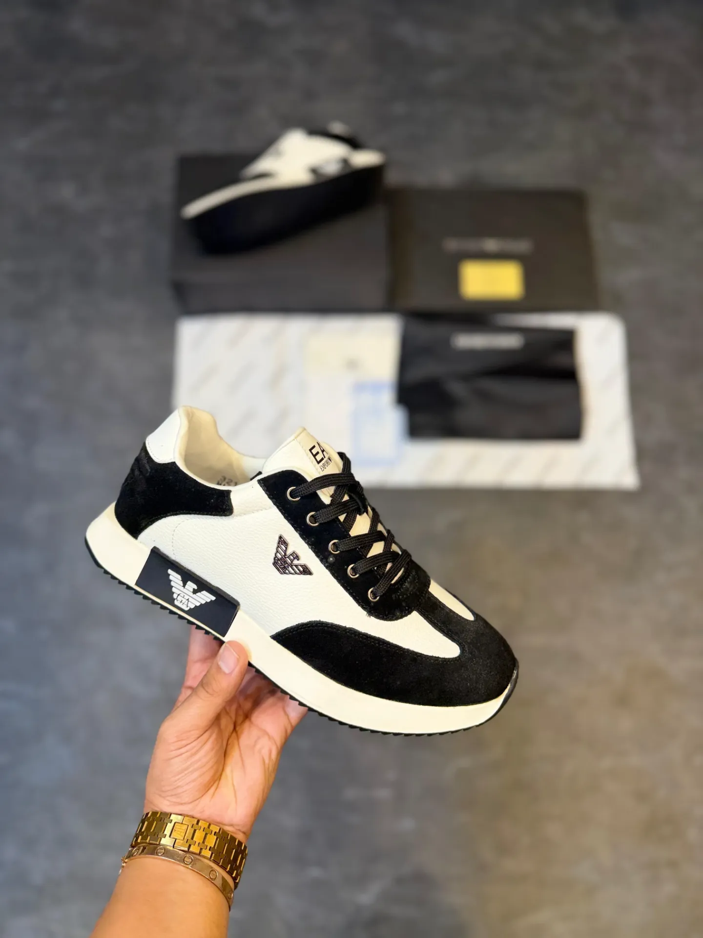 Dolce and Gabbana  (40)